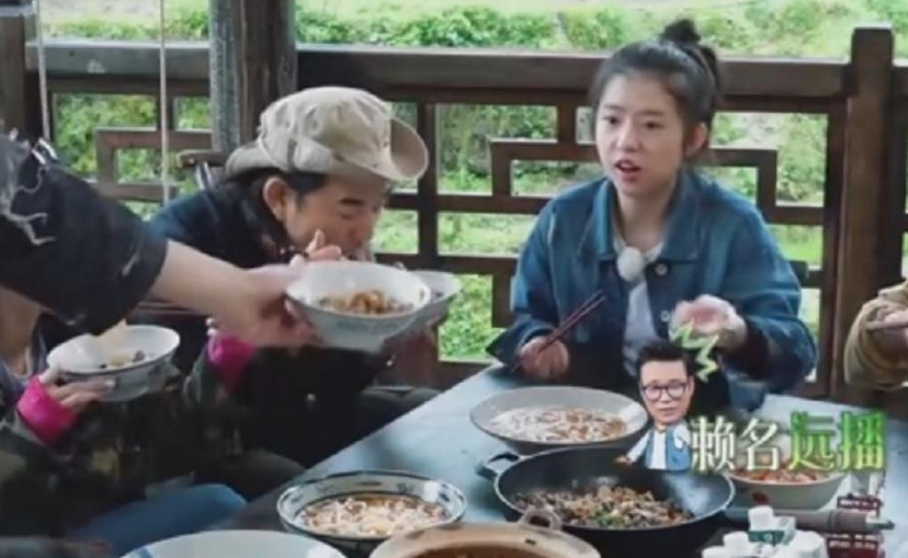 娱乐圈:参加《向往的生活》被骂“滚出娱乐圈”,拍摄大片却好评不断