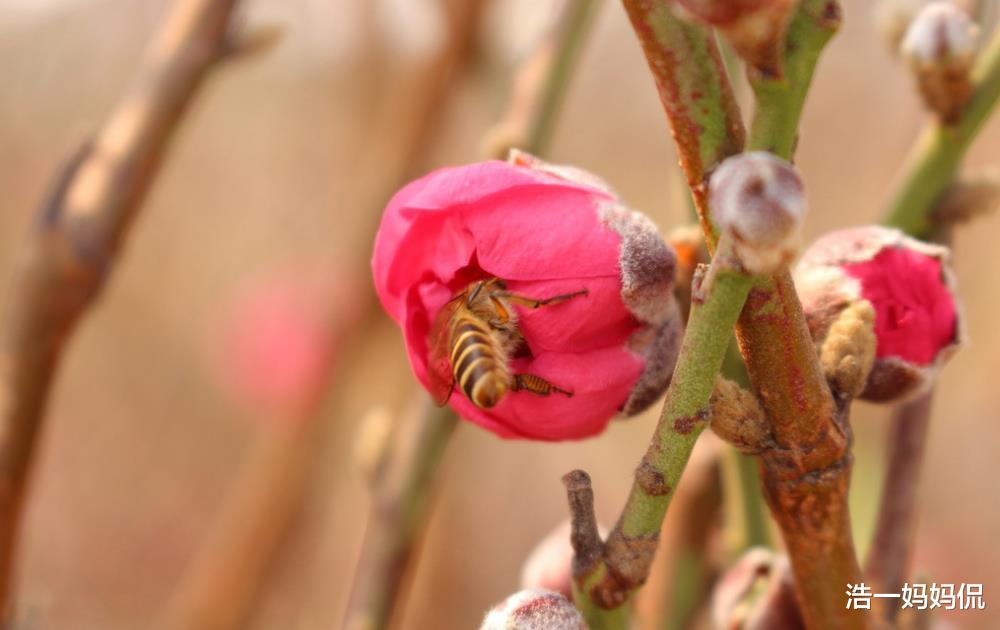 「金牛座」3生肖财神撑腰，财源滚滚，6月30号运势超旺，恭喜上榜的朋友！