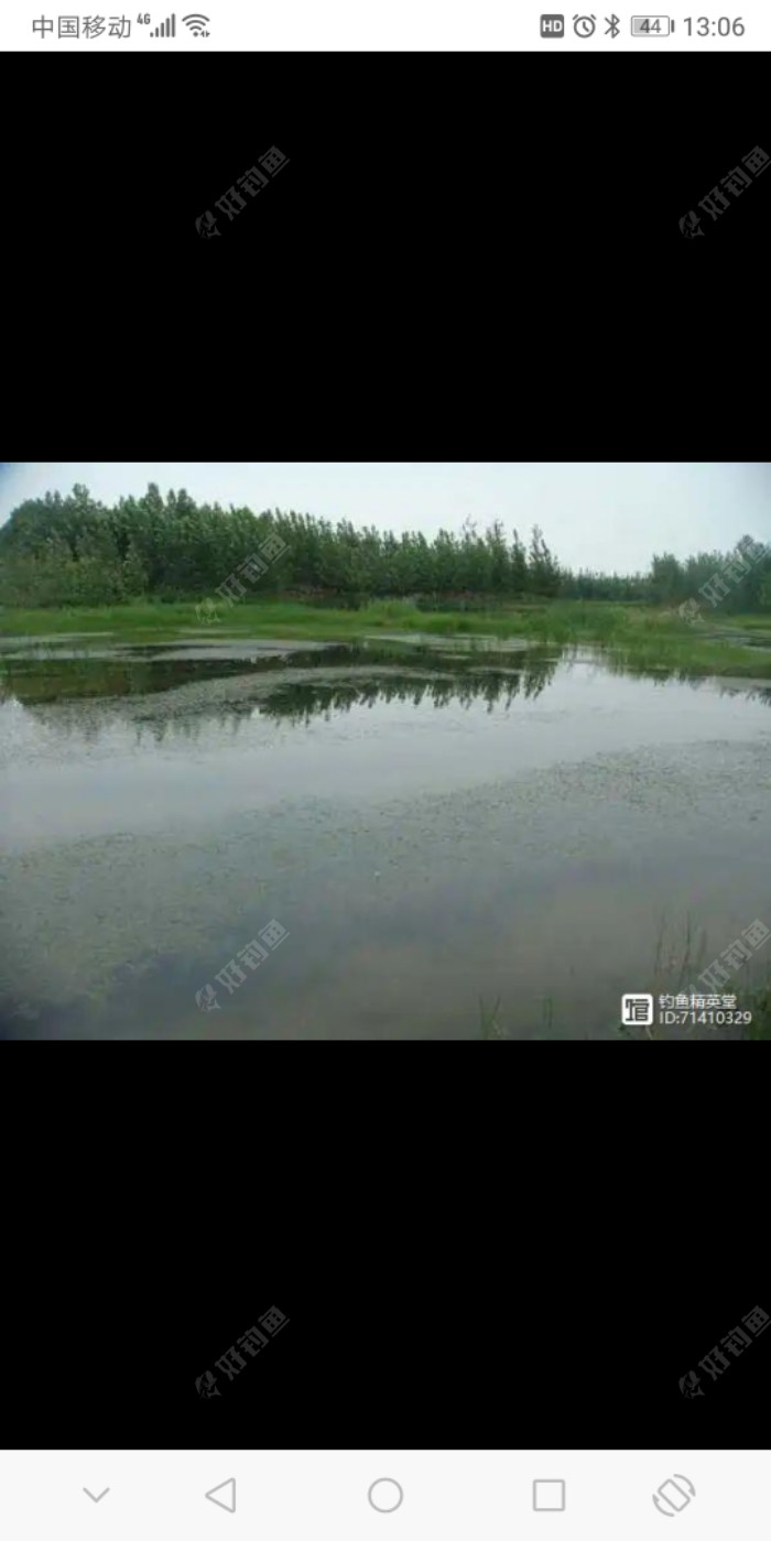 黑鱼|传统钓技巧（2）垂钓大黑