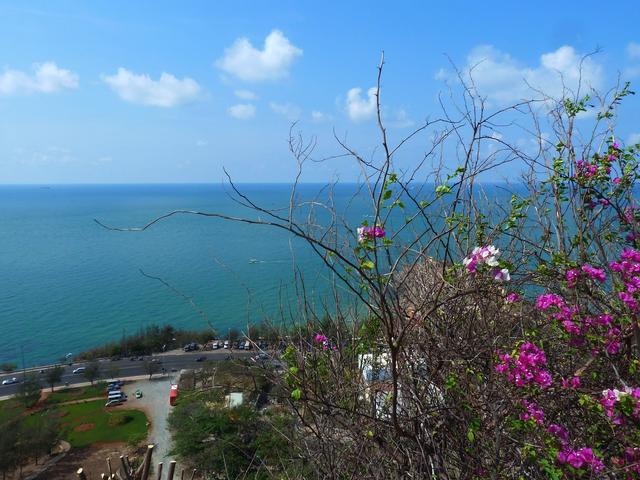 『龙虾』越南美拖“犯虾灾”，一只虾巴掌大, 中国吃货怂了：这忙没法帮！