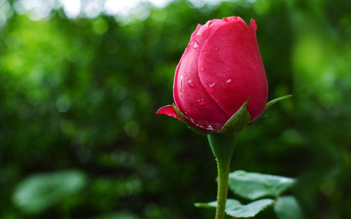 「」2020下半年,鸿运当头,不愁钱花的三个星座