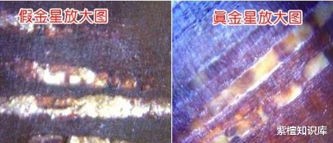 「小叶紫檀」真金星，假金星傻傻分不清？小叶紫檀金星真假鉴别大揭秘！