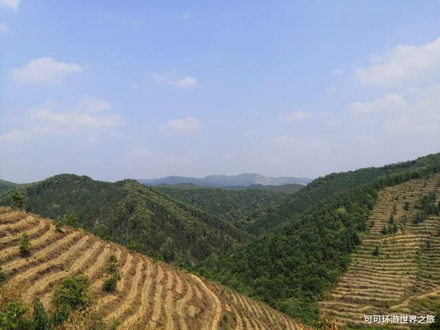 『秦岭』对南宁高峰森林公园褒贬不一，这6点常被吐槽，你有不同意见吗