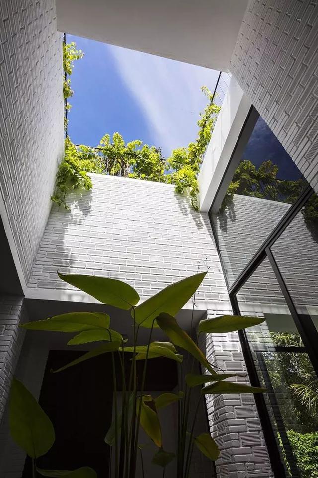 花草、小院，我想建一个被自然包裹的房子，外在简单内在舒适