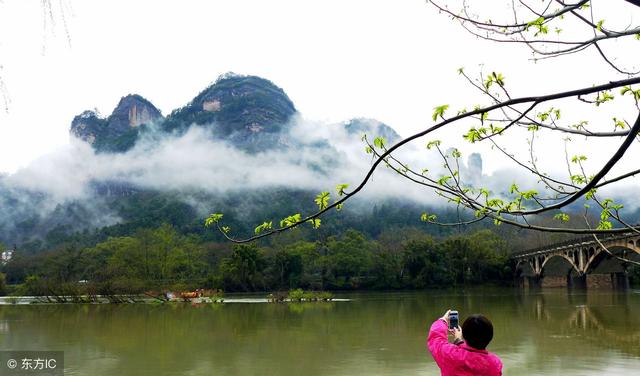 十二星座|看八字不能过于纠缠身旺身弱，举实例分析