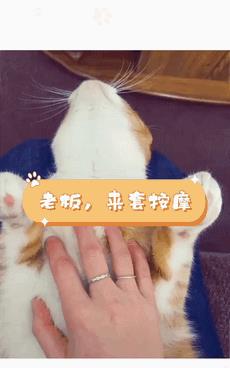 睡觉就睡觉，你掰我天线干嘛