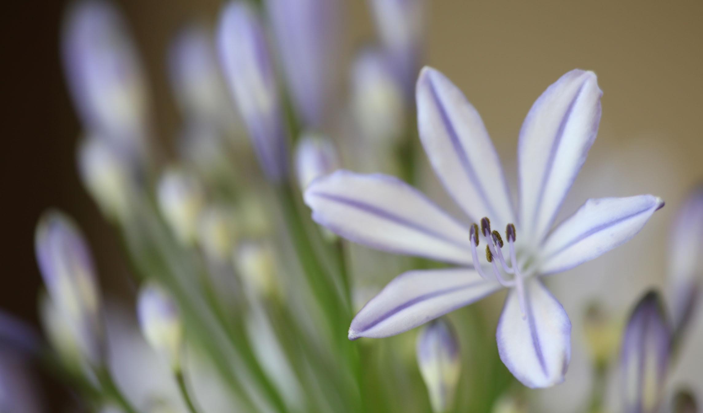 生肖|10天之内，爱意耗尽，不在纠缠，3星座拒绝麻烦，决意分手