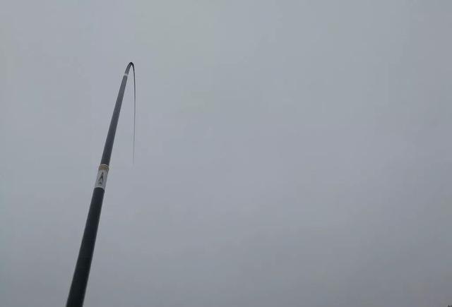 |怎样才能买到适合自己的鱼竿?这些选竿建议太贴心了