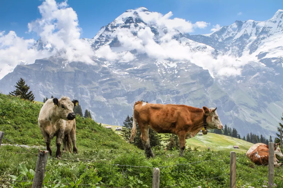 |比天堂小镇美十倍！这个藏了72条瀑布的小镇，每走一步都是仙境!