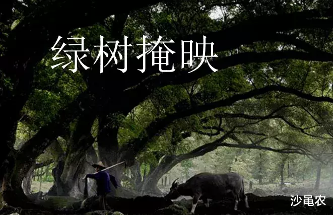 A股|股市早8点丨美股忽暴跌！A股再经考验！