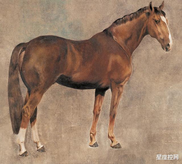 生肖|十月上旬,4生肖和惊喜不期而遇,与贵人不约而同,赚钱如虎添翼