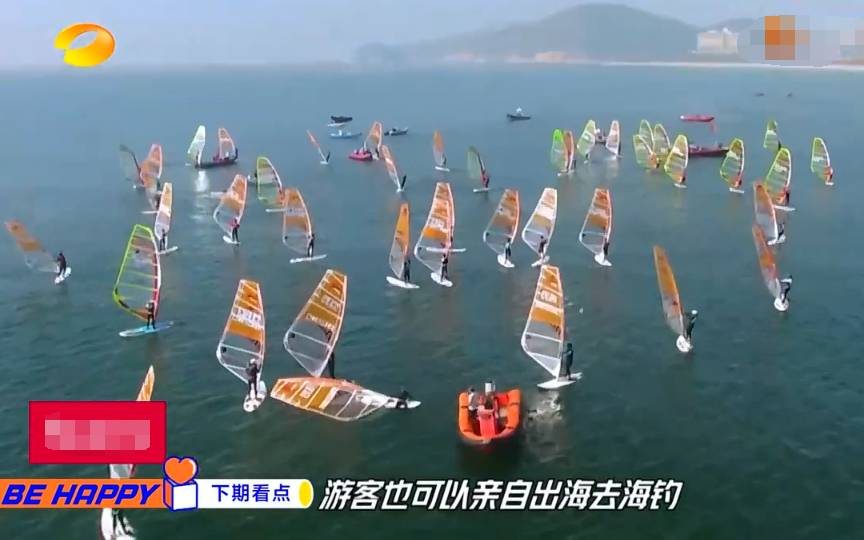 王一博|《天天向上》丰收游，王一博遭受“挫折教育”，粉丝笑得像个后妈