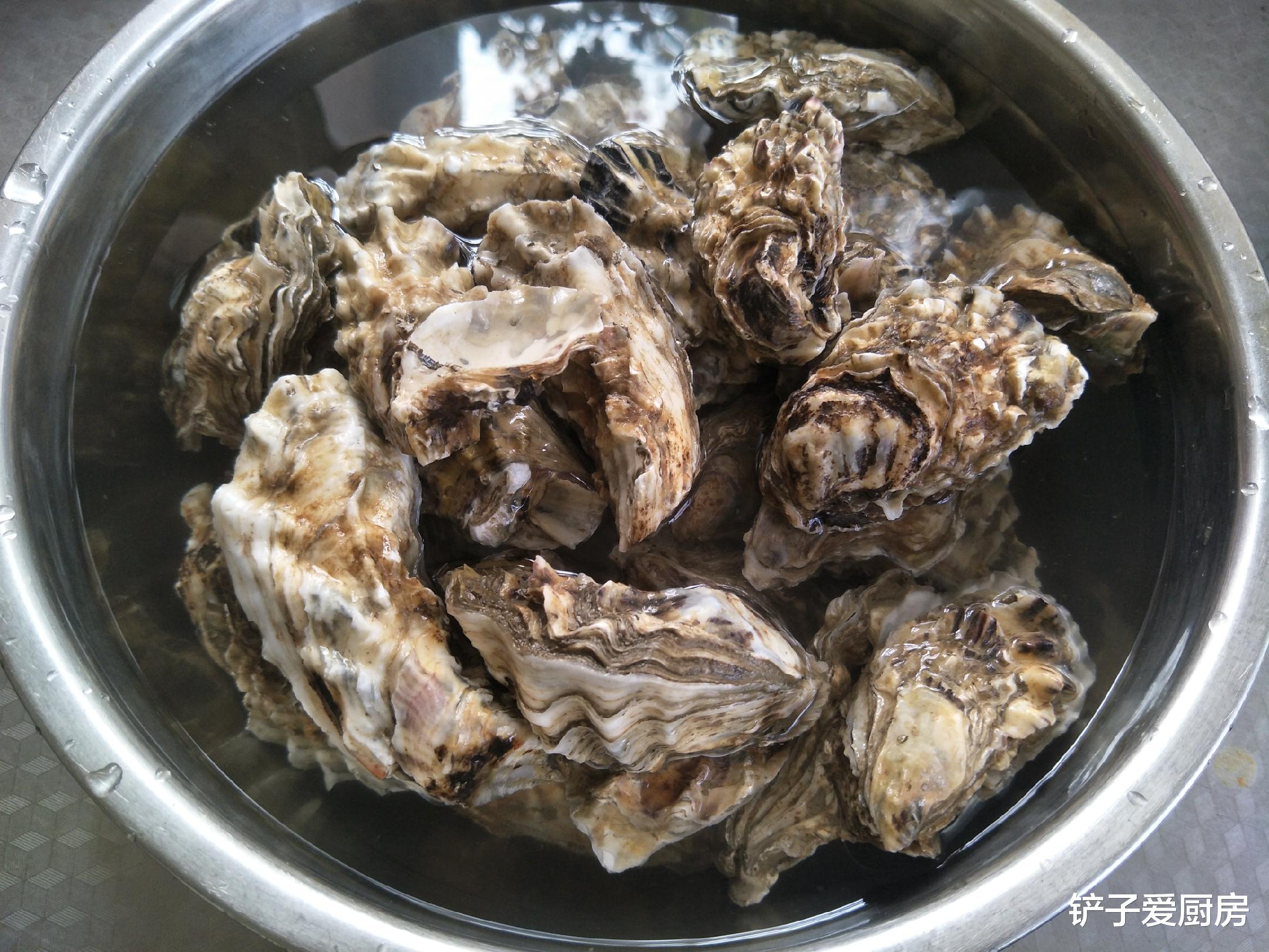 立冬|立冬过后，1道海鲜记得吃，价格实惠，肉质肥美