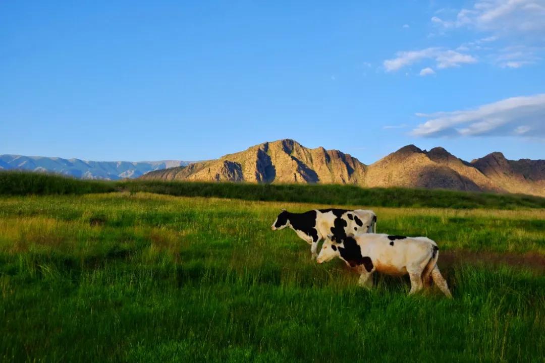 新疆维吾尔自治区 天山脚下的边陲小城，名气虽不及伊犁，但风景美如画