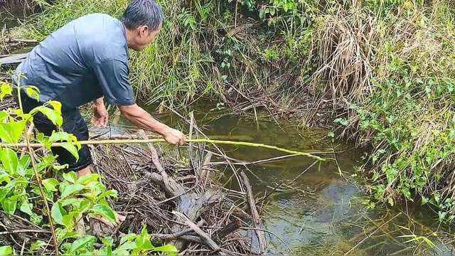 @插竿钓法:省事省心的钓取昂贵渔获的同时,领略古老钓法的乐趣