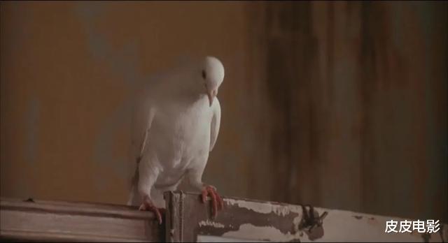 [吴宇森]1993年，吴宇森拍出这部B级片，美国票房大卖，香港影迷却怒给差评