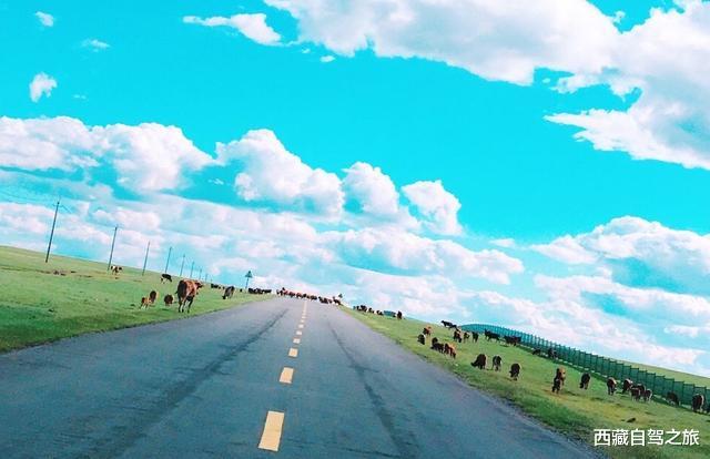 自驾|最适合秋天出行的4条自驾路线，每一个都是上帝的私藏，美爆了