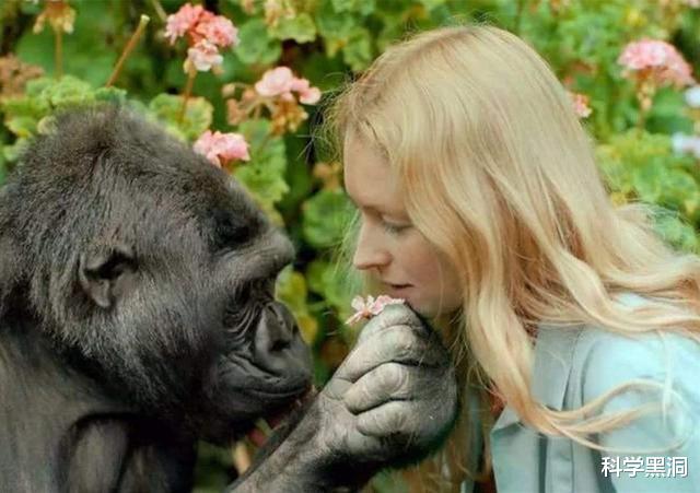 #隔离#为什么人类和其他物种都有生殖隔离?这意味着什么?