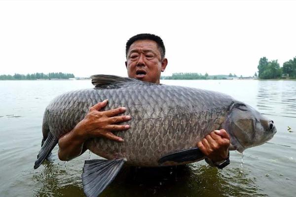 池塘|为何有些人不上班,天天去钓鱼,背后有何玄机?