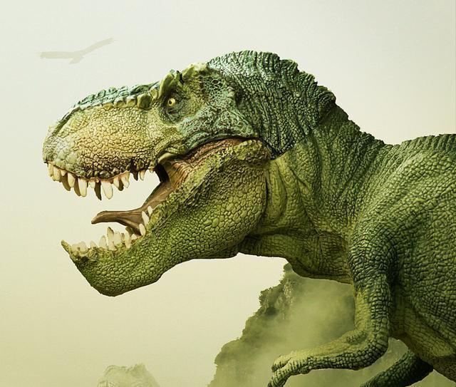 恐龙|这些在恐龙世界称王称霸的王者 谁才是第一 谁才是真正站在金字塔的顶峰