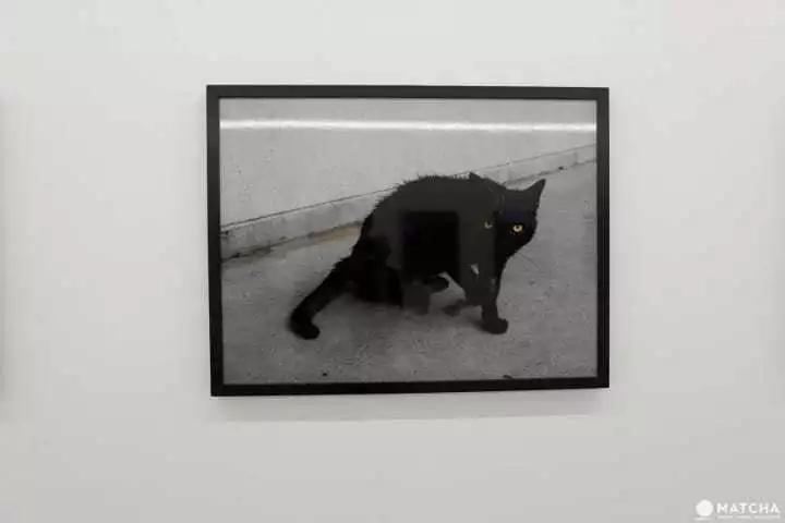 东京表参道是如何迅速成为中国中产阶级新春打卡胜地的？