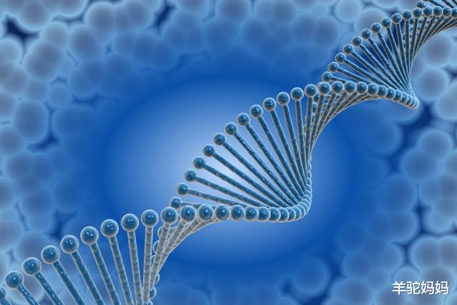 大学|大学毕业即转行的5个专业，就业窄薪资低，学了和没学没区别