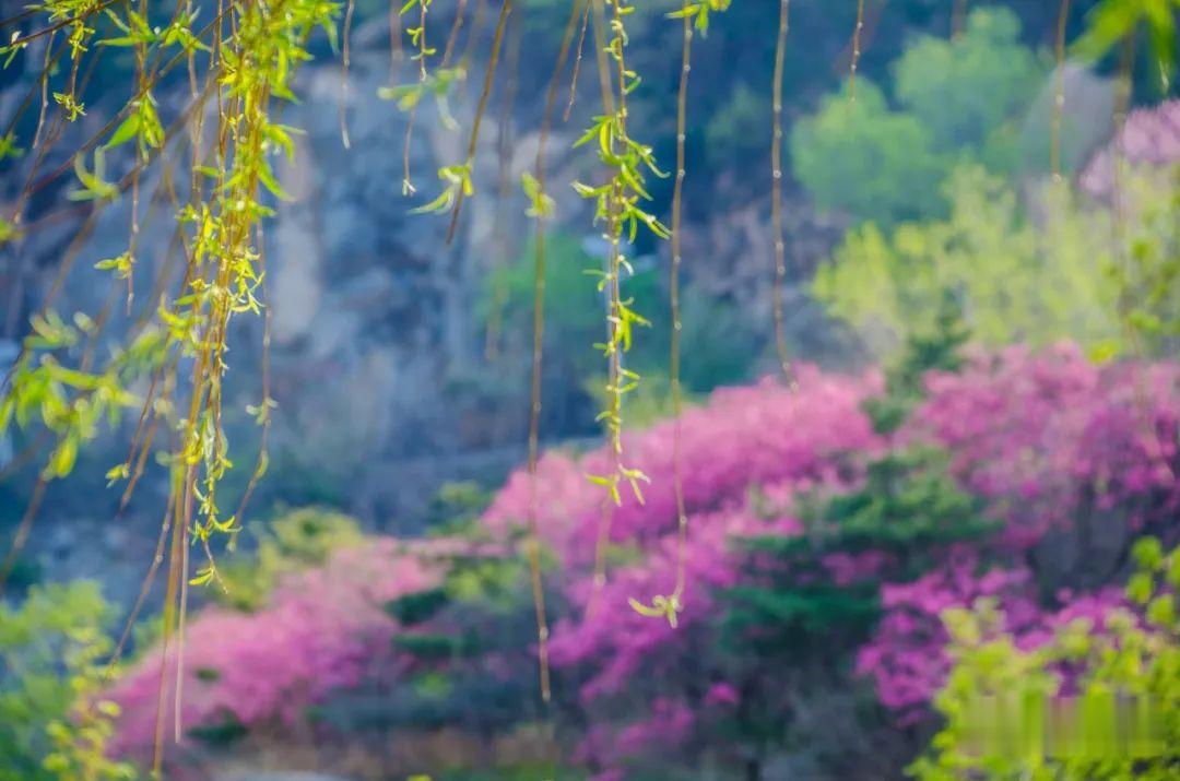 ▲周末，彩石溪走起！