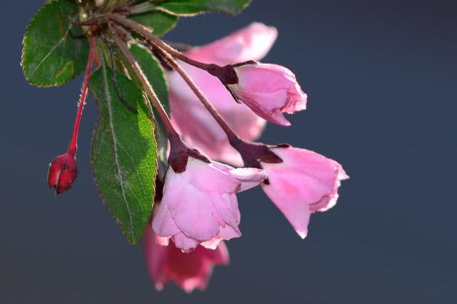 「运势」在3月里,此3生肖迎人生好运势,赚钱如意职场升官,喜事成双!