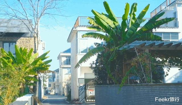 衢州▲马云都来悄悄拜访!这座浙西小县城,究竟有什么魔力?