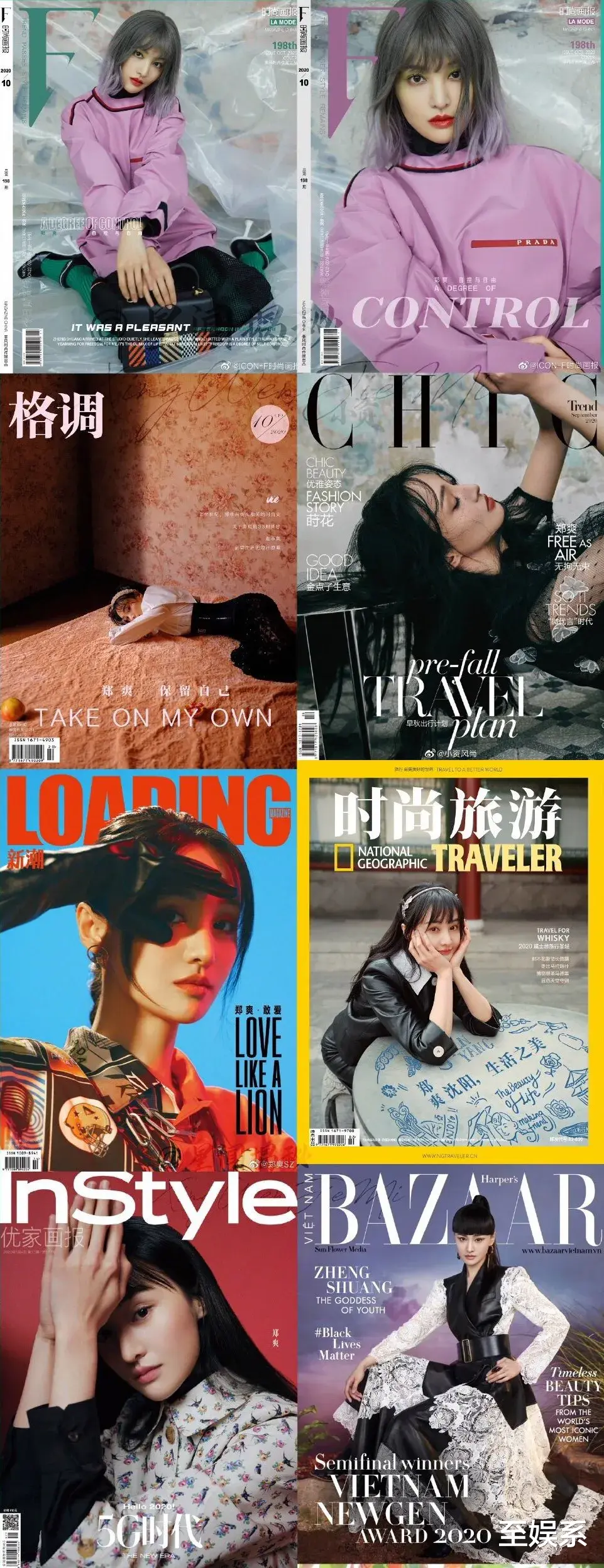 郑爽|郑爽背后的京圈大佬们