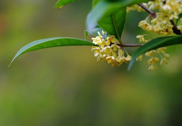 生肖|十月下旬开始，财库大开，好事成双，财神偏爱的生肖