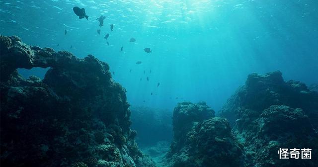 深海生物|深海最深处有什么？四个致命威胁，每个都让人害怕