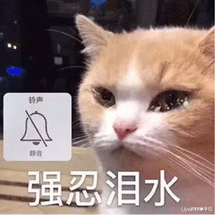 吴昕|吴昕连腿都整了？也太狠了吧！