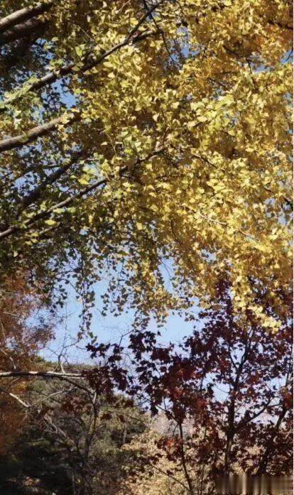 探盘！天津“销冠”的后开发时代，看网红社区养成记