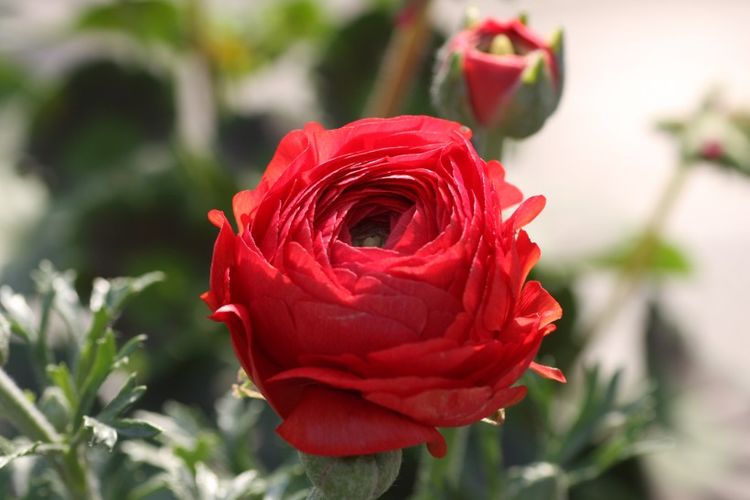 星座爱情观|九月份,爱情上上签,有望遇真爱,直奔结婚喜脱单的四大星座