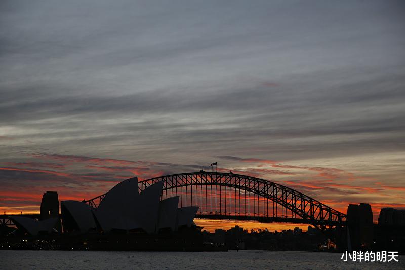 []职场规则：工作时，这3点照领导的安排做，就是不干活，别再傻了