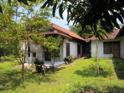 睹图|男子因不满妻子让他打扫院子，竟当着3个孩子的面将妻子杀害