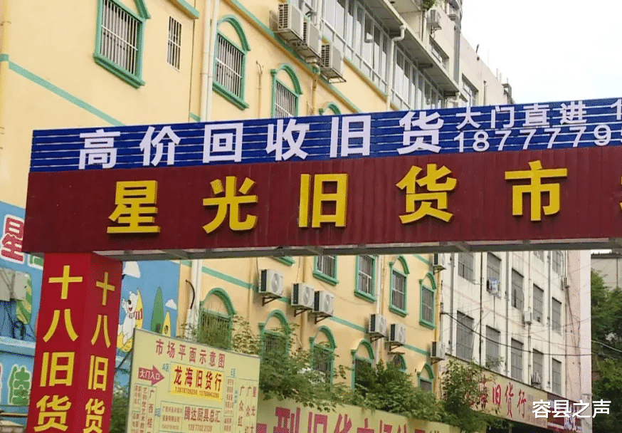 容县之声|广西一仓库毒蛇扎堆，三天抓了十多条，除了眼镜蛇还有五步蛇！