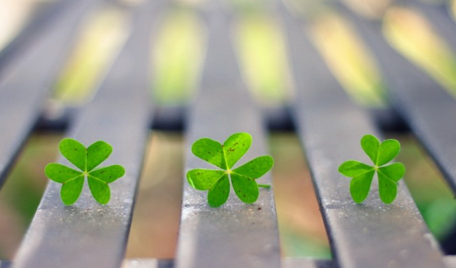 属龙:未来7天内,3属相财运升温,人旺财旺,事业爱情全有,福如东海