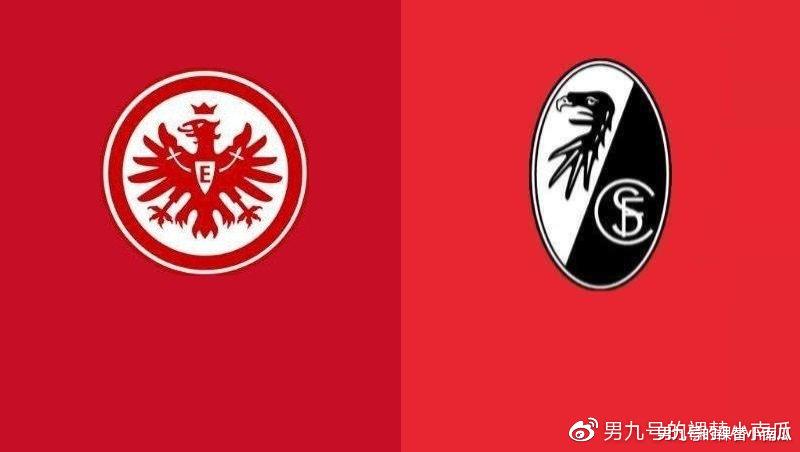 德甲@2019-20赛季德甲第28轮法兰克福vs弗莱堡