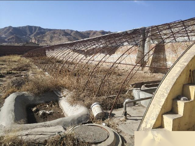 与多肉结缘，城市小伙跑到农村，看他如何建一个多肉花园（一）