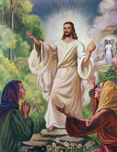 黑猩猩|人类虽进化出了语言，却付出了“沉痛代价”，只有黑猩猩得以保留