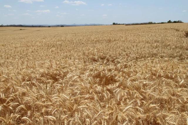 纪念币|这个国家本是经济强国,新总统上任30年,迅速跌为世界最穷国家