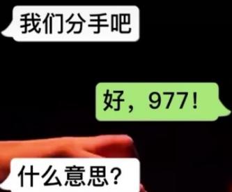 抖音|抖音上977是什么意思什么梗 数字977含义介绍