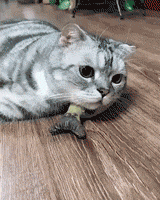 耳机|“工地里捡的耳机，连喇叭都没有，为啥还有人出价4位数想要收购？”