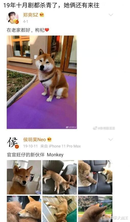 郑爽|郑爽还有出轨瓜？曝与张恒交往时劈腿H姓男星，侯明昊躺枪工作室火速辟谣