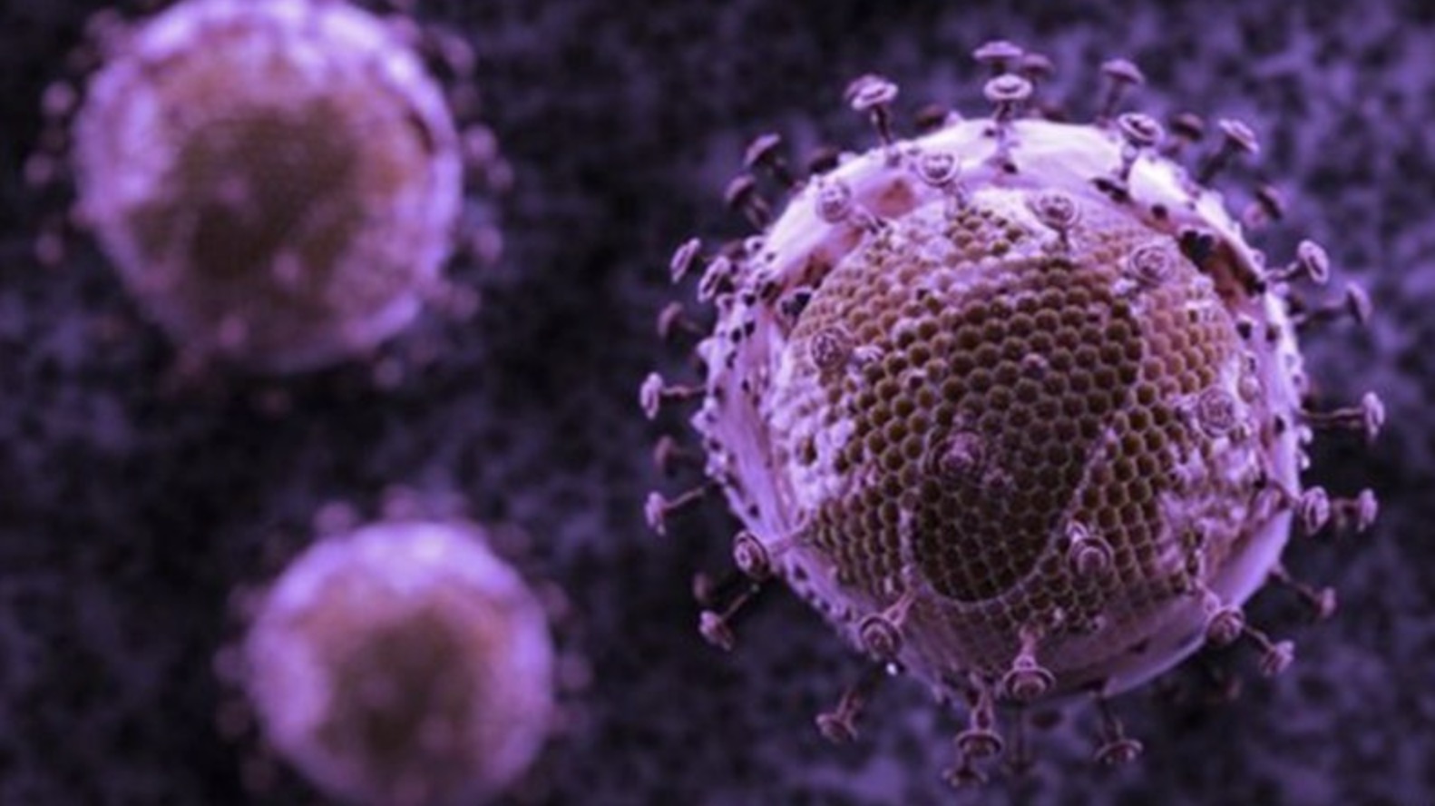 埃博拉疫情|差点灭绝人类的病毒有哪些?