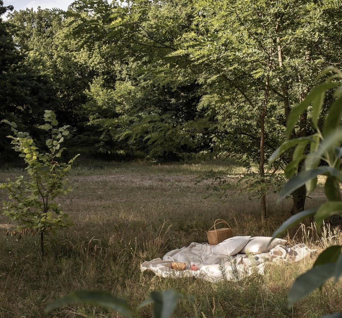 |德国女摄影师的66平小家,羡煞旁人!全屋被绿植包围,看着超治愈