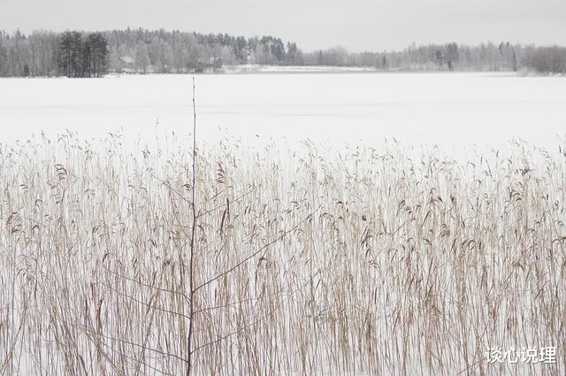 狮子座|12月，一场红尘劫，一份千年缘，3星座难忘浮生三千，再续前缘