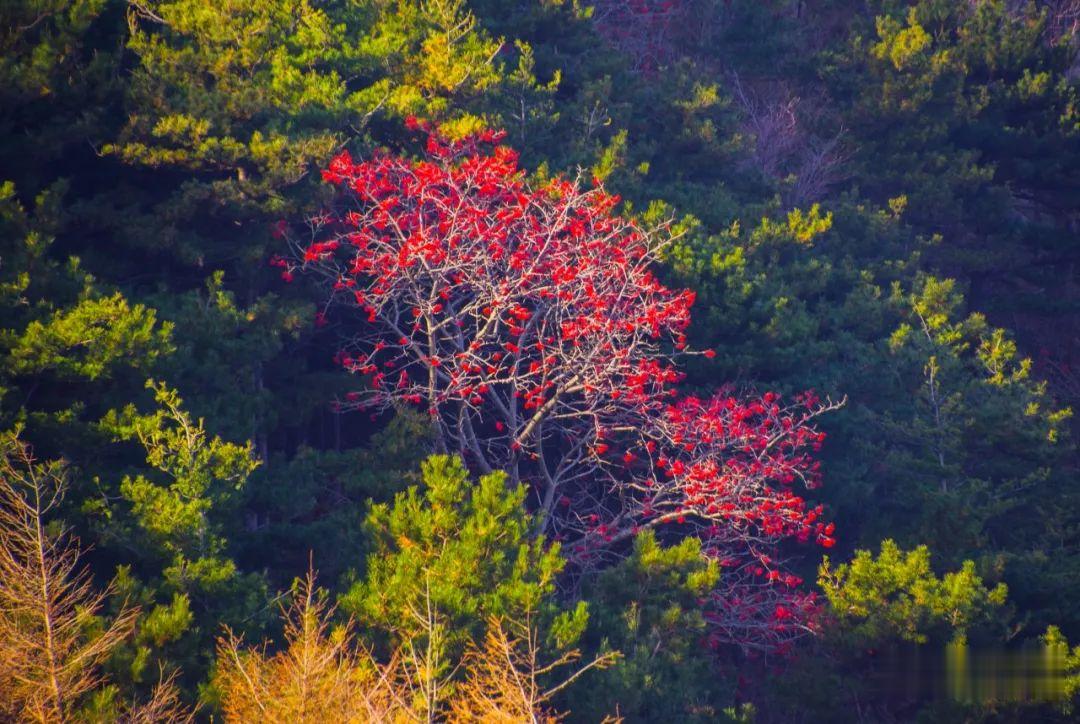 |有此美景 何必远行